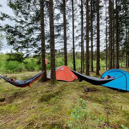 Mitsubishi Med Telt Og Utstyr Camping *