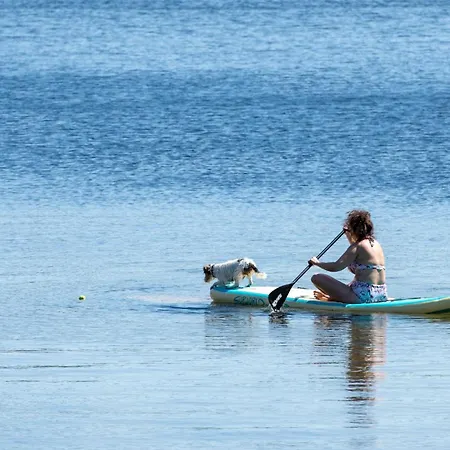 Mitsubishi Med Telt Og Utstyr Camping *